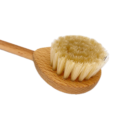 Kratzbürste