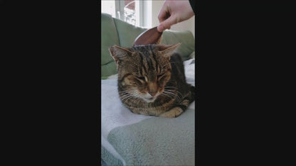 Katzenbürste aus Buchenholz